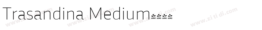 Trasandina Medium字体转换